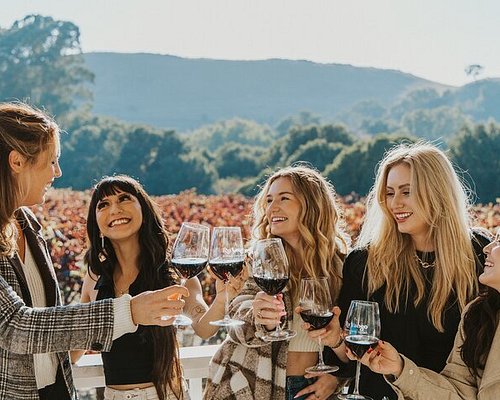 best tours of california wine country