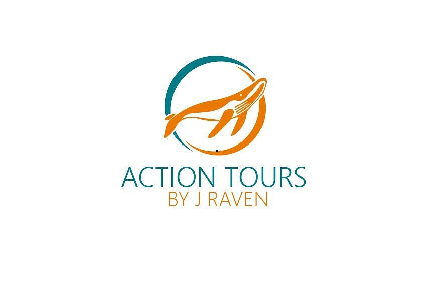 action tours review