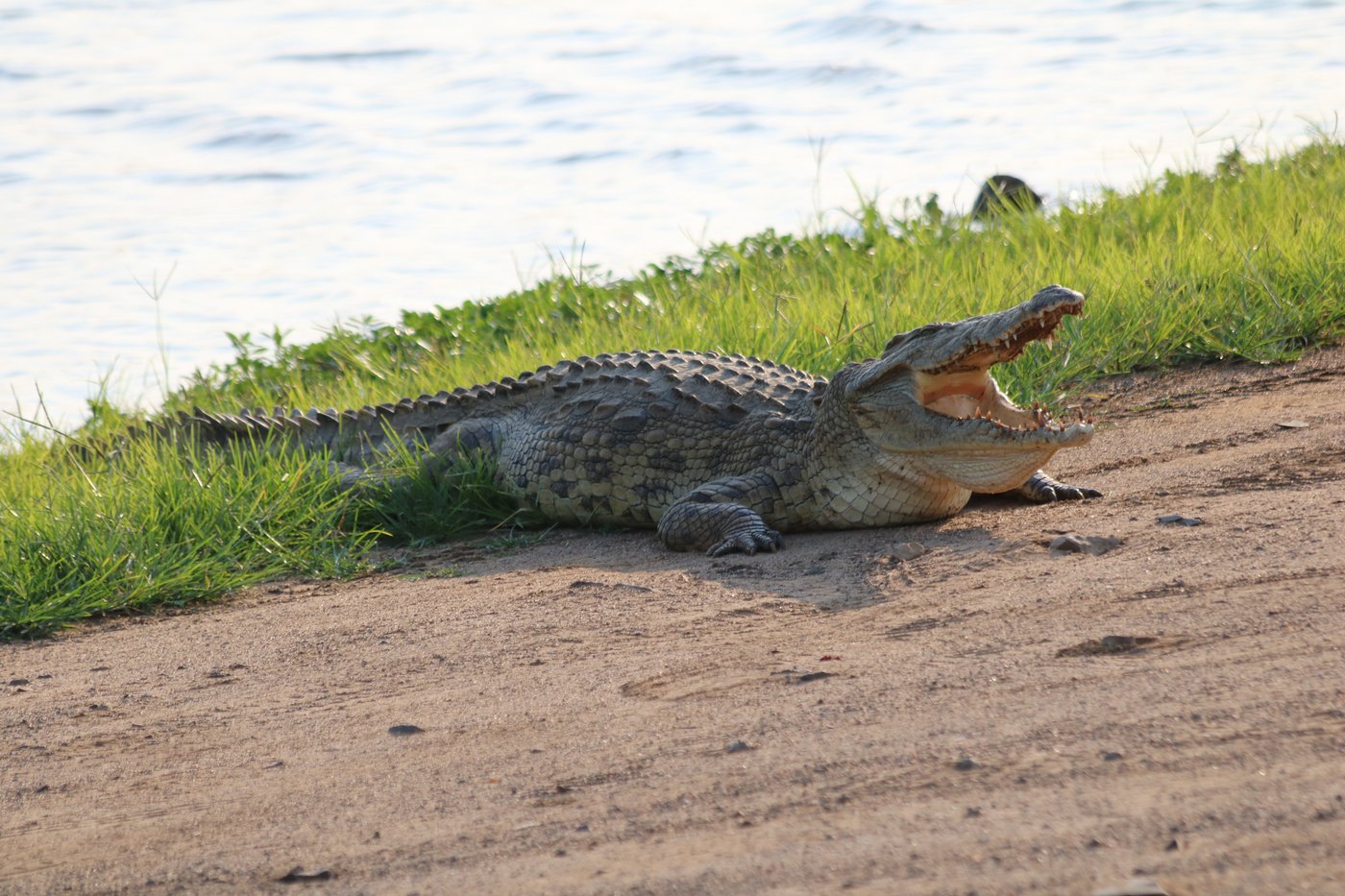 Lower sabie rest camp campground reviews kruger national park south