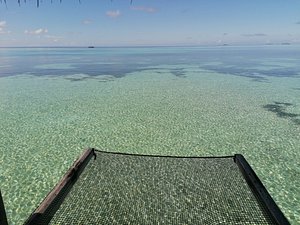 Best of the Maldives: Disco Toilet – LUX South Ari Atoll