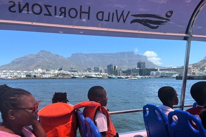 THE 10 BEST Cape Town Boat Tours (with Prices) - Tripadvisor