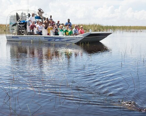 boat tour of everglades national park