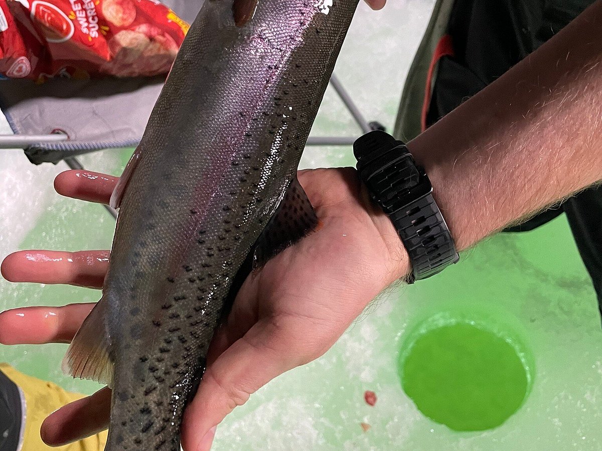 Ice fishing on Heffley Lake near Sun Peaks Resort with Elevated Fishing  Adventures. The lake is stocked with rainbow trout, a mild fish that makes  great eating. This ice fishing tent and