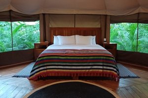 Habitación y suite