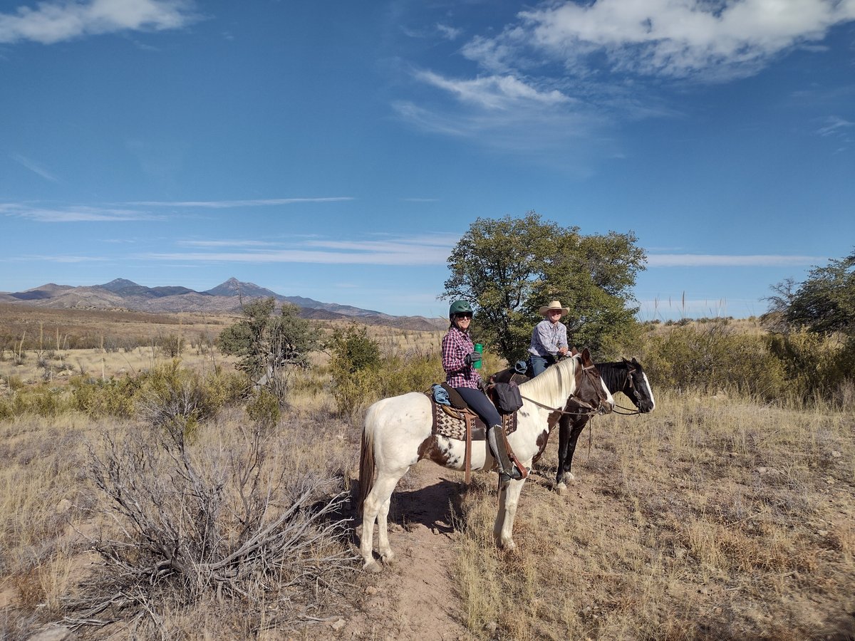 CIRCLE Z RANCH - Updated 2024 Reviews (Patagonia, AZ)