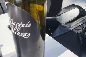 Viajero