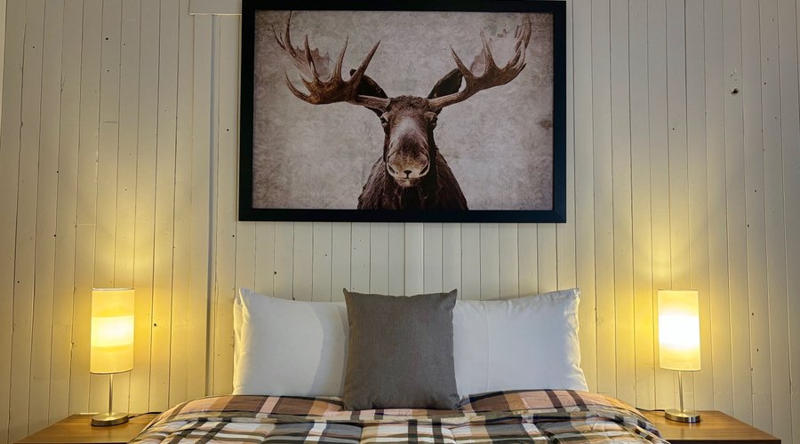 Chambre lit queen standard