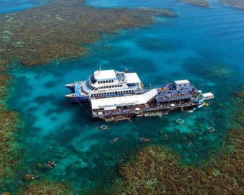 great barrier reef cruise to sunlover reef cruises pontoon