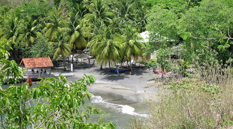 Souvenirs de mes Voyages  - France  - Antilles  - Martinique  - Perdue dans la végétation tropicale, la magnifique crique de sable noir toute proche de celle de Dufour en sable blond - 24.01.05 - Cliquez sur la photo pour découvrir la prise de vue complète