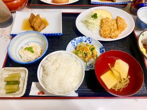 旅行者の写真