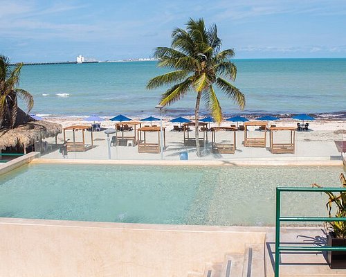progreso yucatan shore excursions