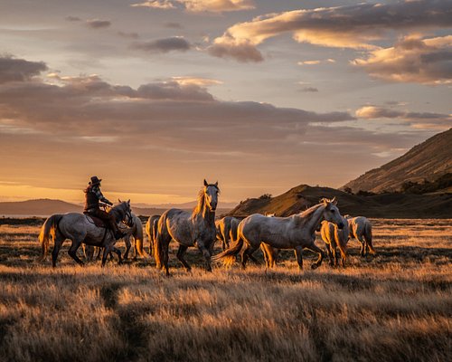 patagonia horse tour