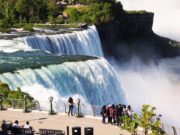 pueden los perros ir a las cataratas del niágara en canadá