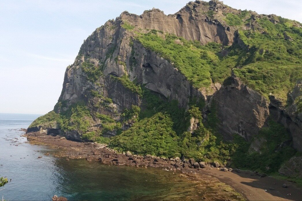 달트립여행사 - 제주 - 달트립여행사의 리뷰 - 트립어드바이저