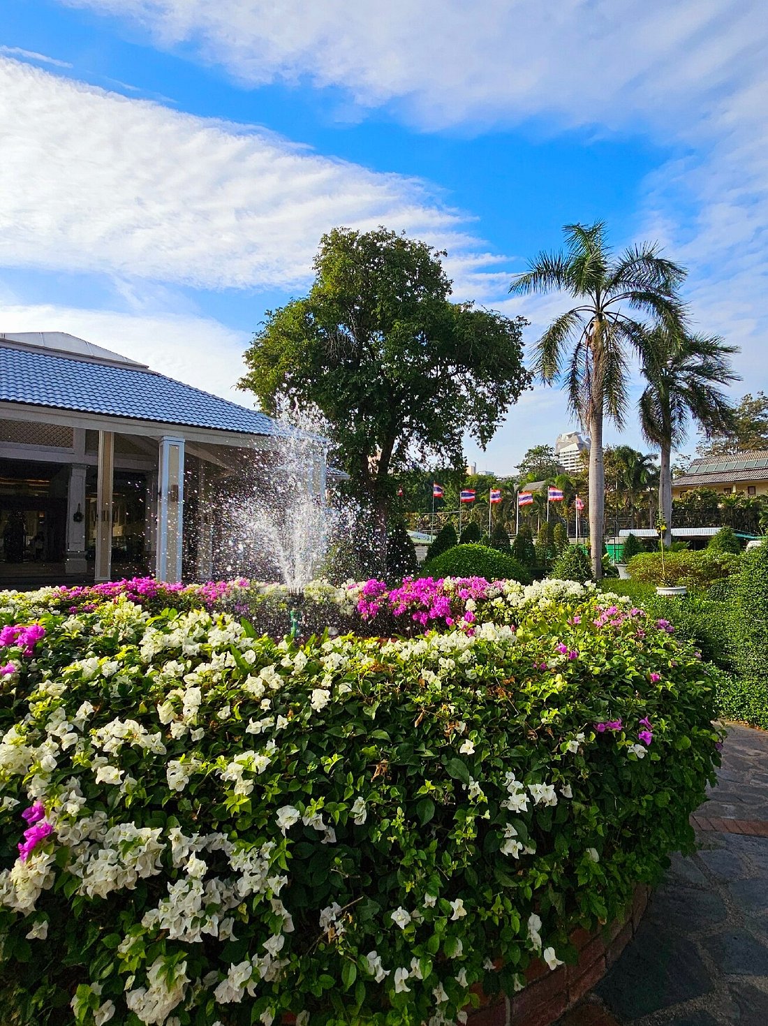 DUSIT THANI PATTAYA (Паттайя) - отзывы, фото и сравнение цен - Tripadvisor