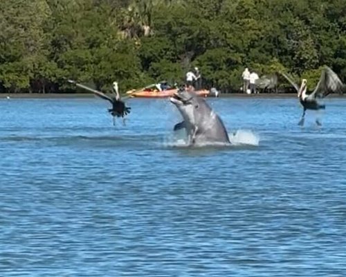 boat tours in fort pierce florida