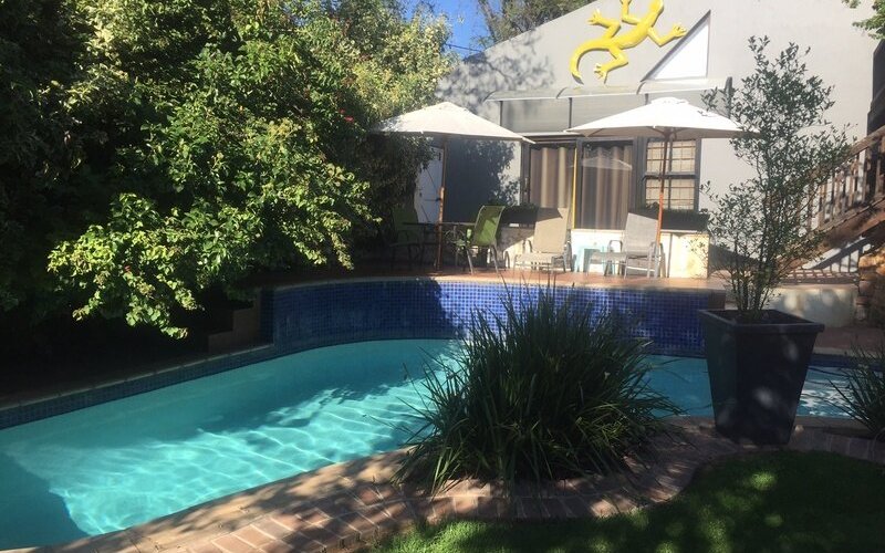 Garden and pool