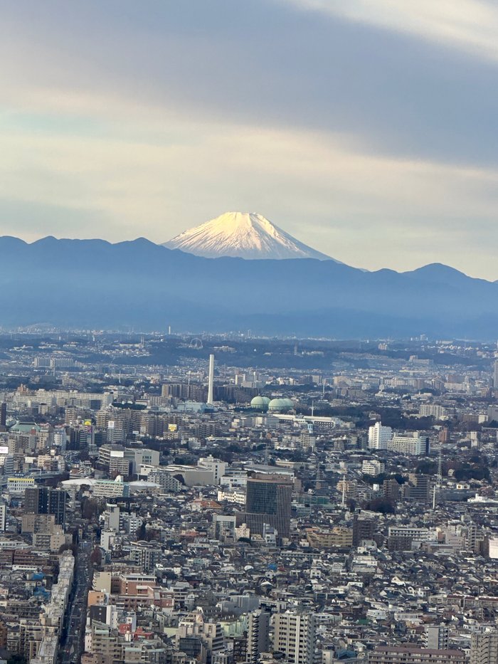 Imagen 6 de Park Hyatt Tokyo