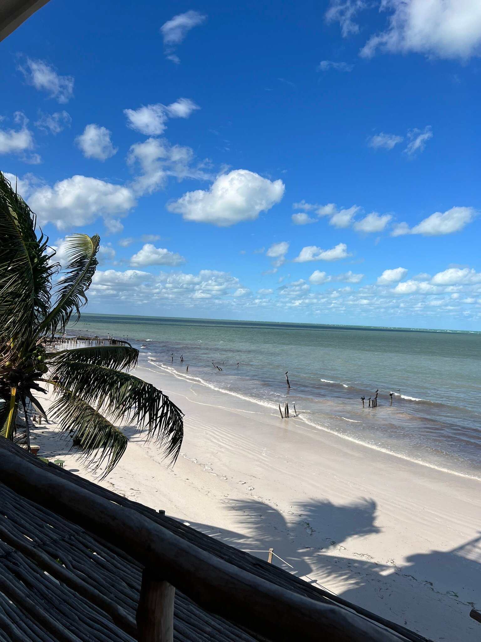 HOTEL BOUTIQUE CASA MUUCH HOLBOX SOLO ADULTOS Updated 2024