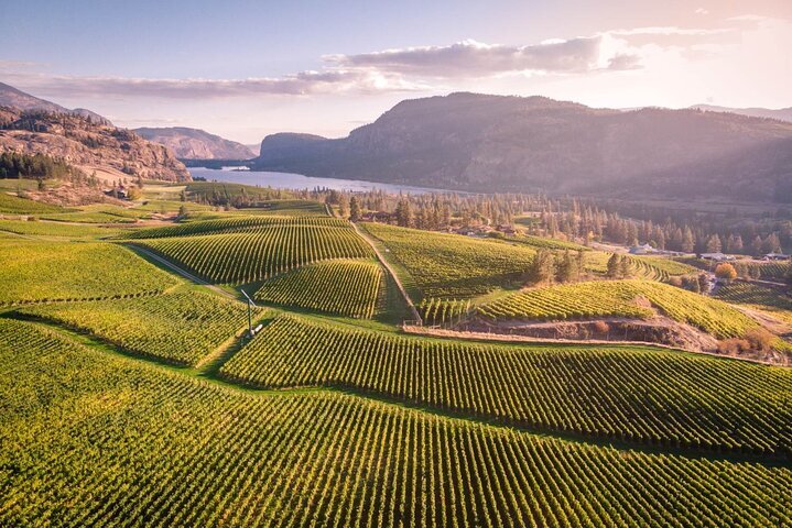 Little engine clearance winery