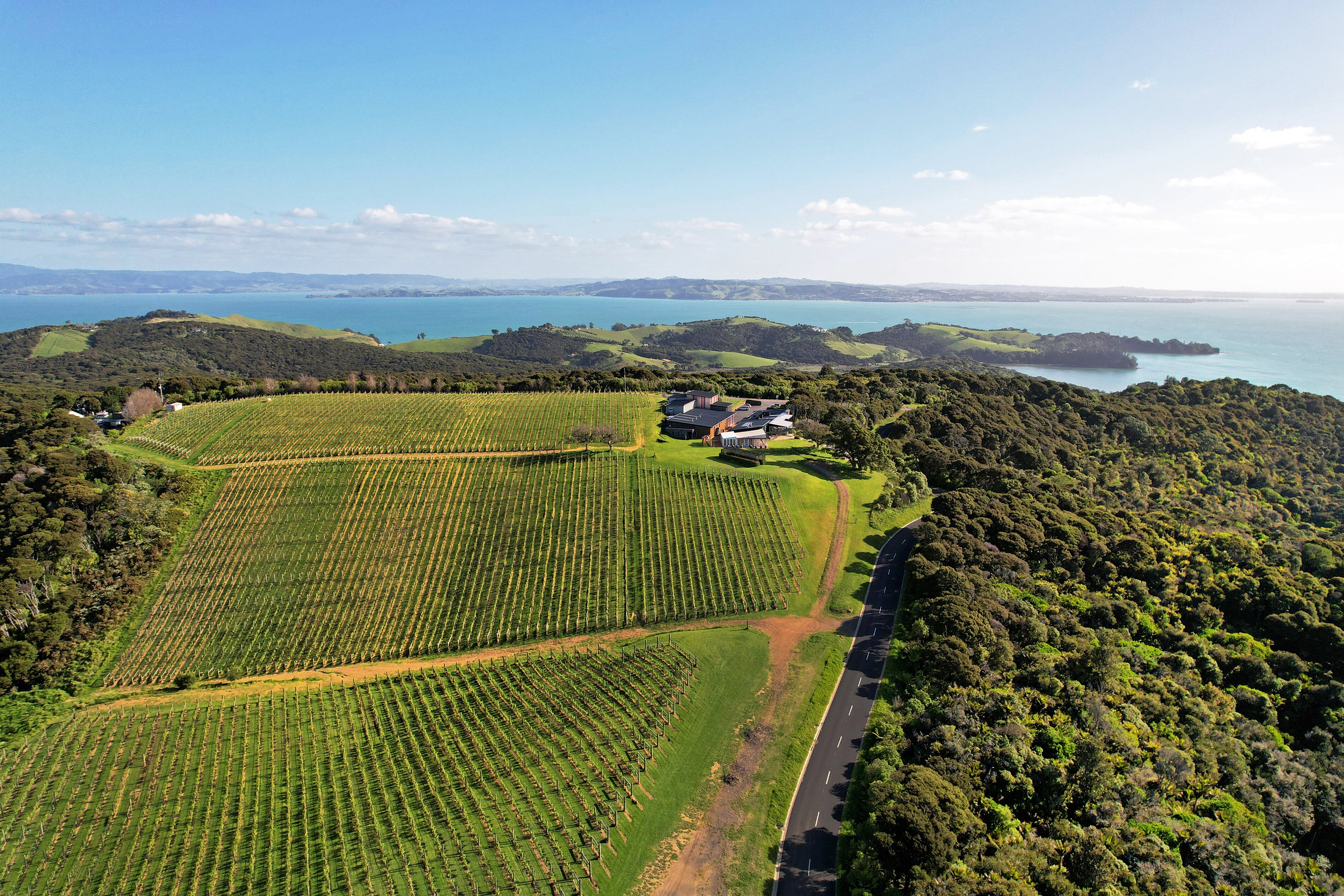 Winery auckland deals