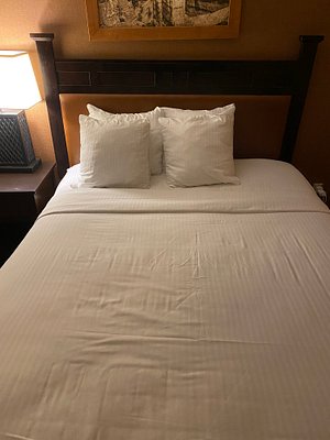 BEST WESTERN PLUS RUBY'S INN $90 ($̶1̶1̶5̶) - Updated 2024 Prices & Hotel  Reviews - Bryce Canyon City, UT