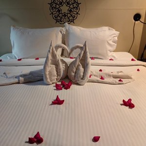 Beautiful roses and decorated master Bedroom thanks to Mr Mohammed Sayed Husein