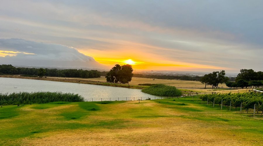 DE GRENDEL WINE ESTATE - Qué SABER antes de ir (2024)