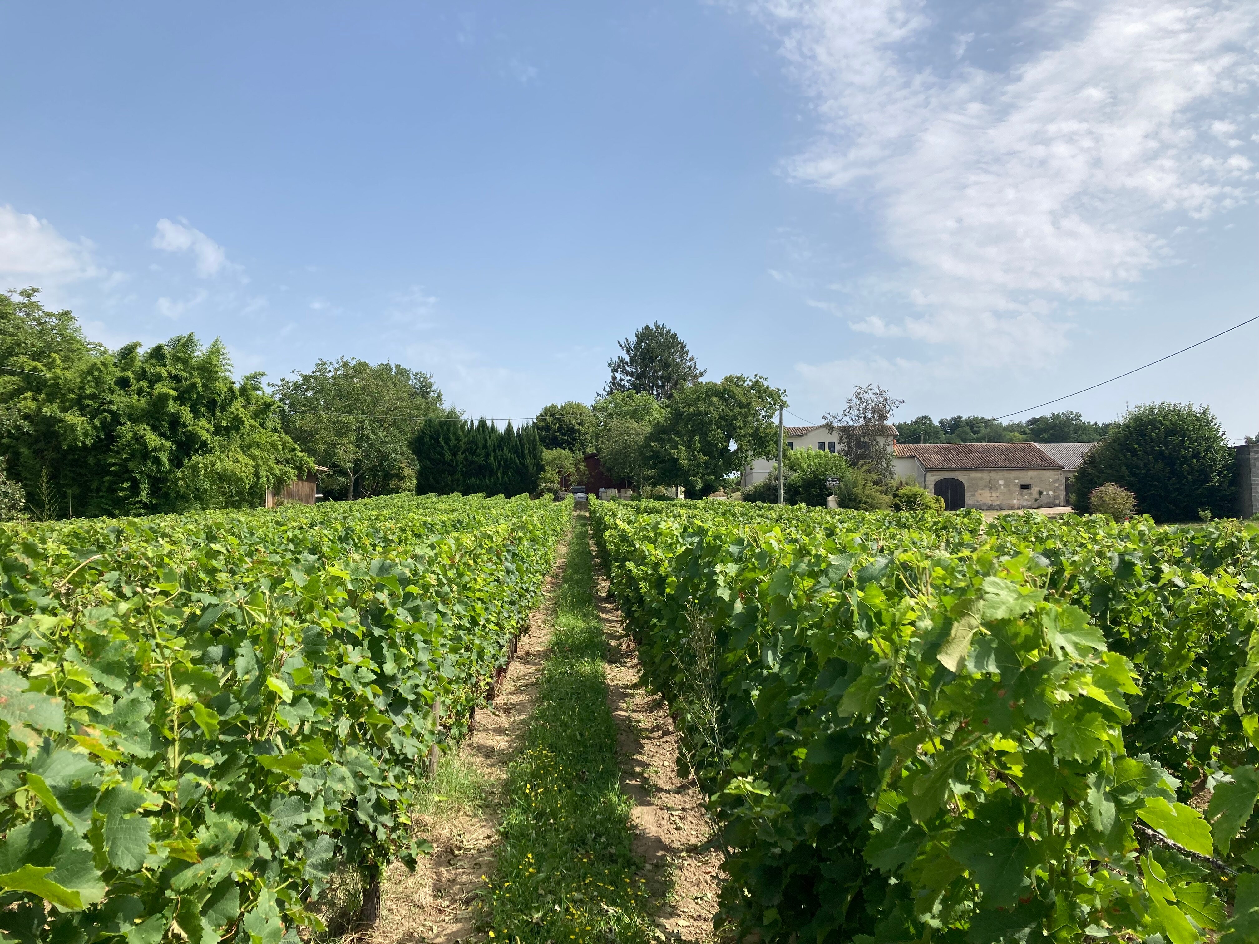 CLOS DE LA BARBANNE (Montagne) - B&B Reviews, Photos, Rate Comparison ...