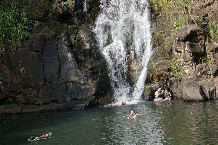 Tour of North Shore & Waimea Waterfall