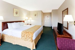 Room & Suite
