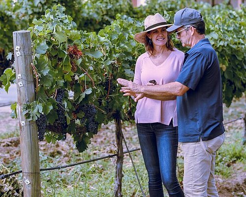 vineyard tours in temecula
