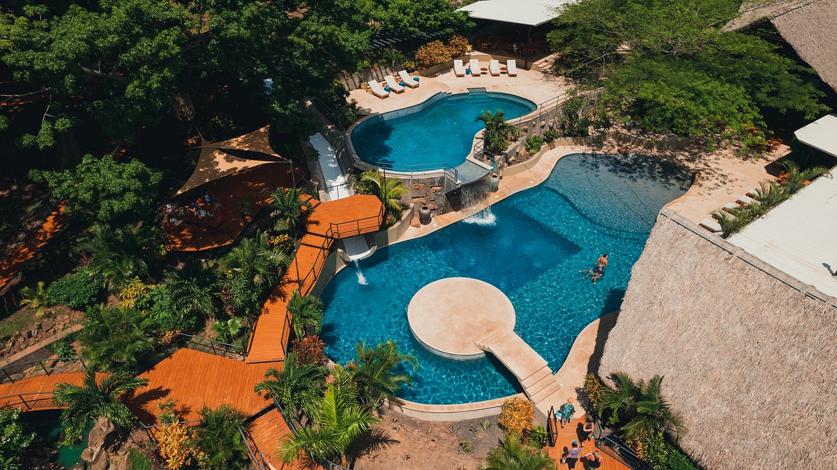 TreeCasa Hotel & Resort - La flor de Avispa 🐝🌺⁠ This flower is from the  hibiscus family and can be found all over the TreeCasa Resort property.  Every Latin country calls it