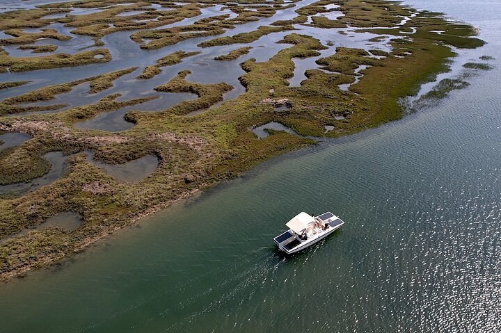 2024 Eco Boat Tour in the Ria Formosa Lagoon from Faro