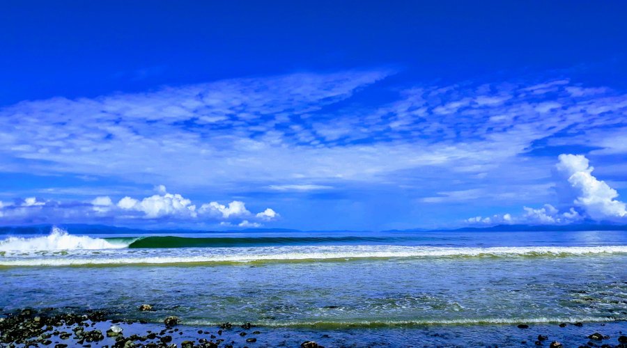 surf house 