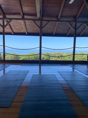 HORIZON YOGA CENTER & TEA HOUSE - All You Need to Know BEFORE You