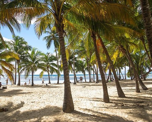 A voir, à faire : les excursions en Guadeloupe - Tropicalement Vôtre