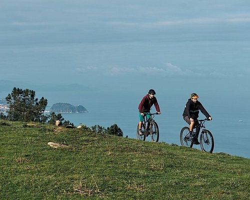  Bolsa de cuadro para bicicleta de montaña Trail (pequeño) :  Deportes y Actividades al Aire Libre