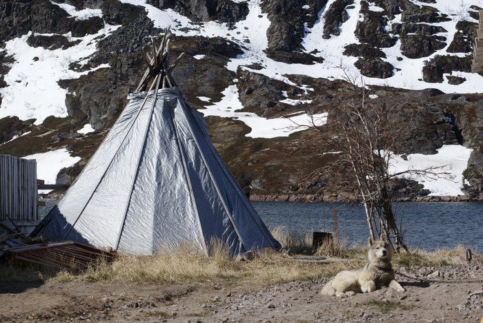 Normann мурманская ул 20а село териберка фото