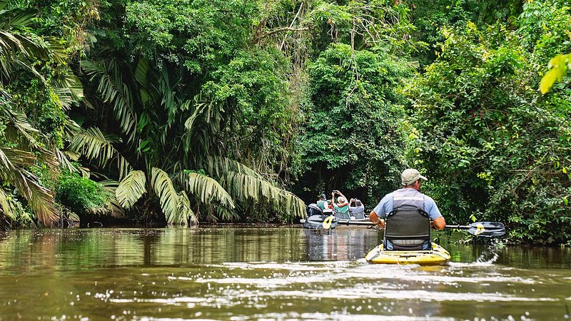 Tourists kayaking in Tortuguero, Costa Rica