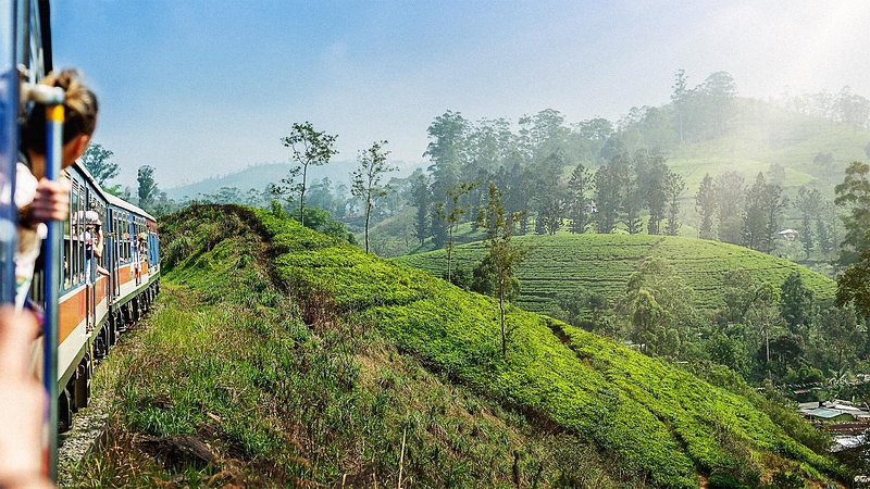 Tourists on train ride from Ella to Kandy among tea plantations in the highlands of Sri Lanka