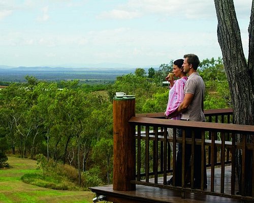 best day tours cairns