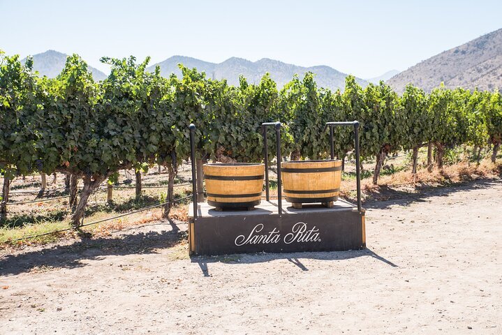 Santa hotsell rita winery