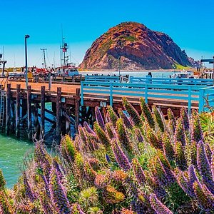 What to do in Morro Bay? Things to see, attractions and museums