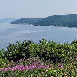 THE 15 BEST Things to Do in Cape Breton Island - 2024 (with Photos