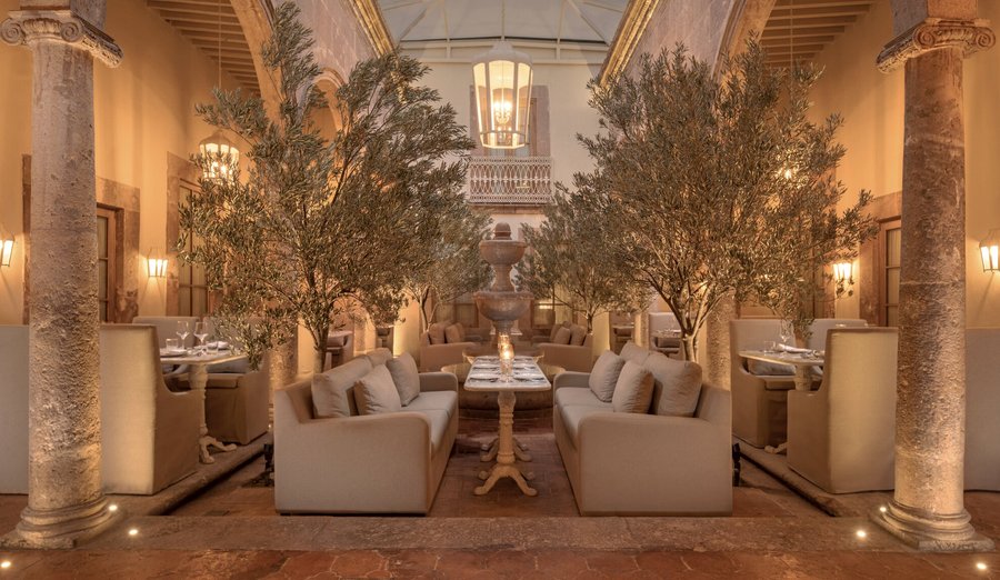 The Olive Court