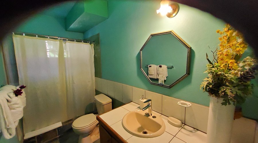 Environmentally sustainable showers and bathroom amenities. 
