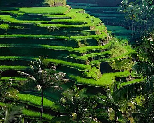 best bali day tours