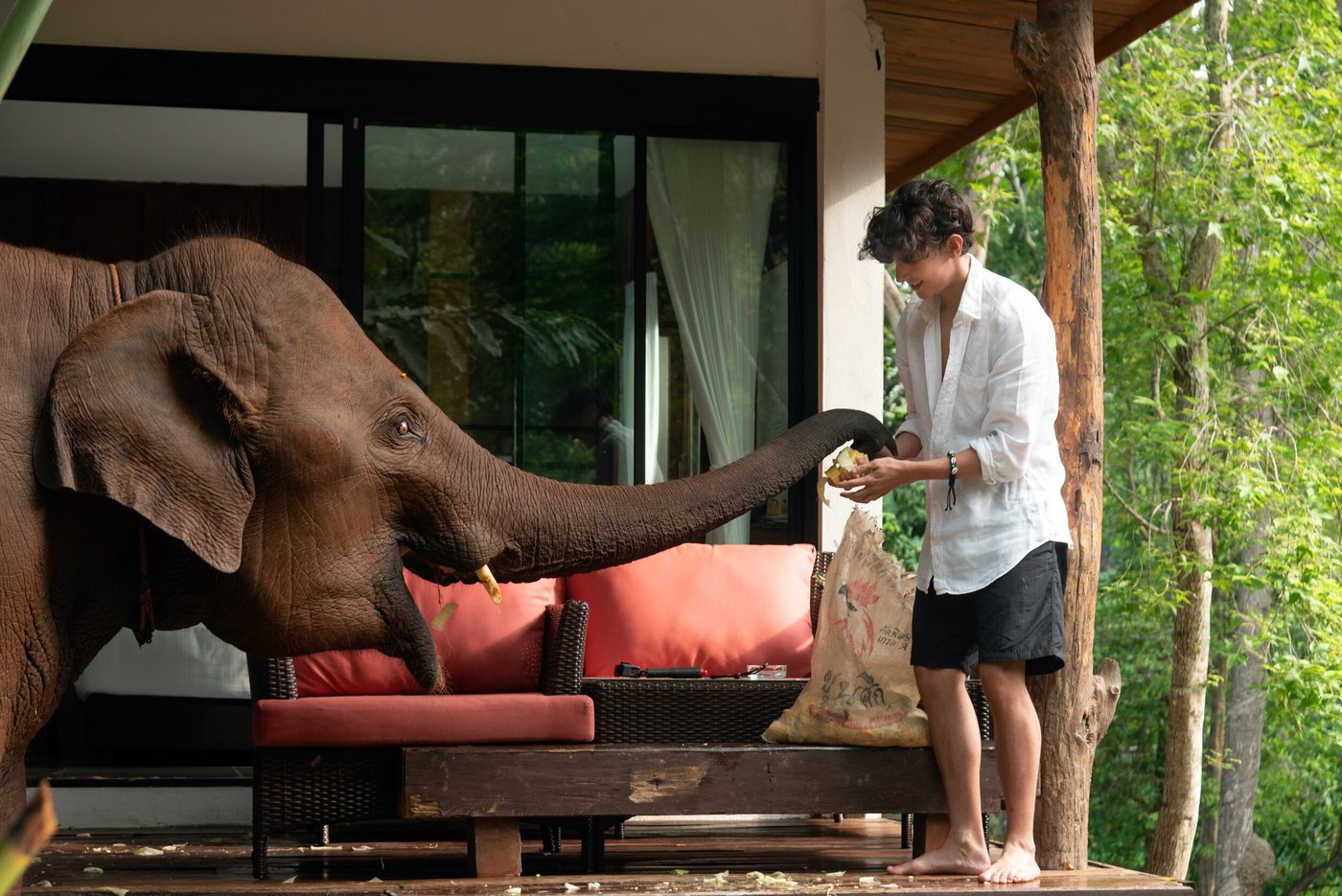 PUTHAWAN ELEPHANT CAMP (Mae Win) - отзывы, фото и сравнение цен ...