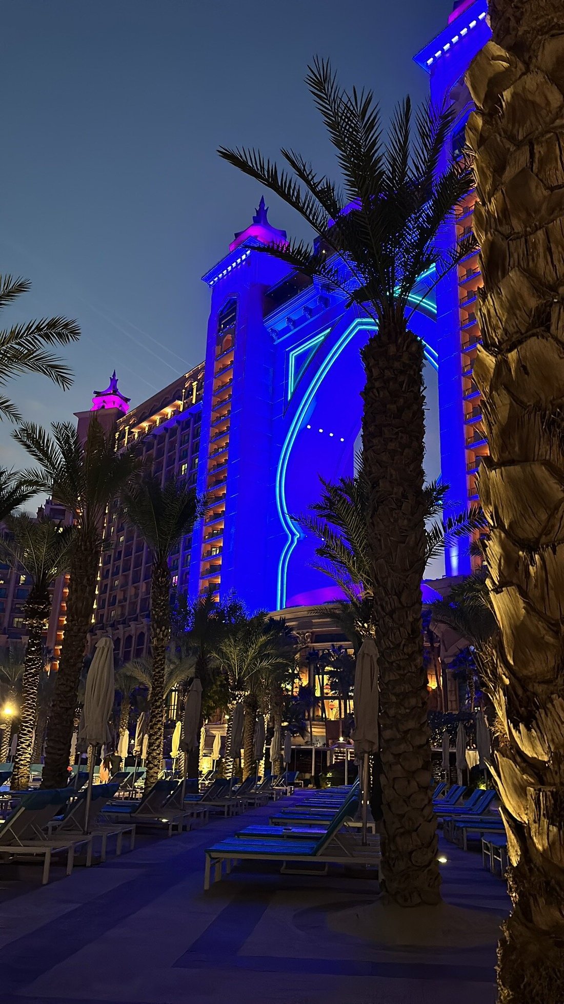 ATLANTIS, THE PALM (Дубай) - отзывы, фото и сравнение цен - Tripadvisor